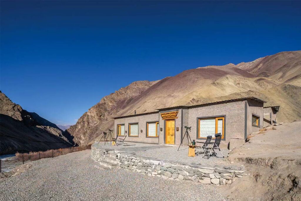 Expert Snow Leopard Safari in India