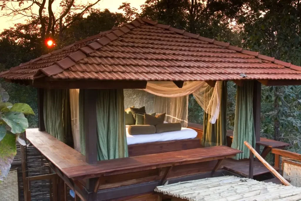 Luxurt Tiger Safari in Pench